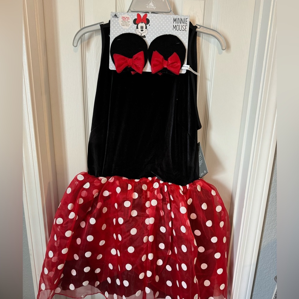 Minnie Mouse Tutu Dress Set